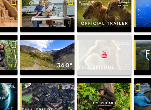 A grid of YouTube video thumbnails with play buttons