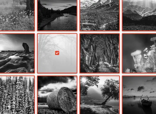 Grid PRO 5 gallery demo