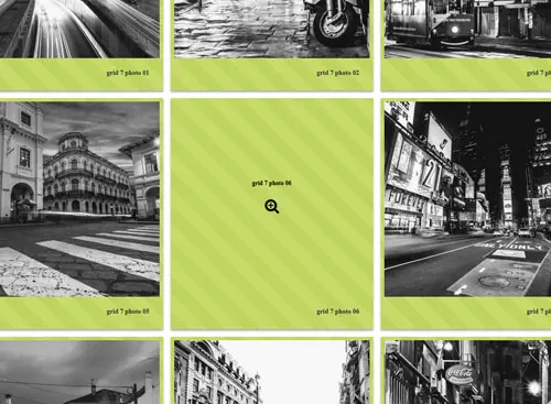 Grid PRO 7 gallery demo