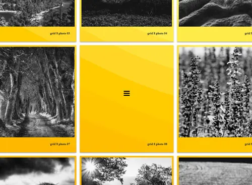 Grid PRO 8 gallery demo