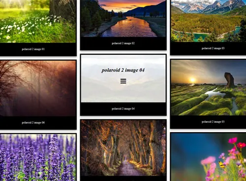 Polaroid PRO 2 gallery demo