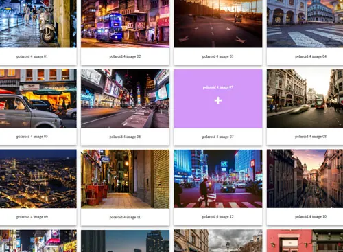 Polaroid PRO 4 gallery demo