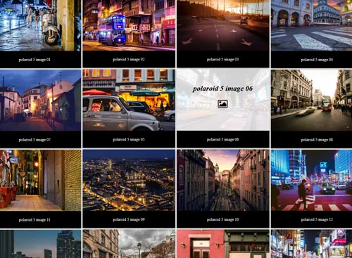 Polaroid PRO 5 gallery demo