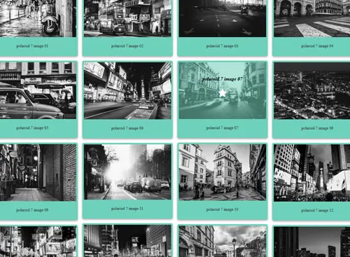 Polaroid PRO 7 gallery demo
