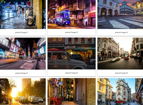 Polaroid PRO 8 gallery demo