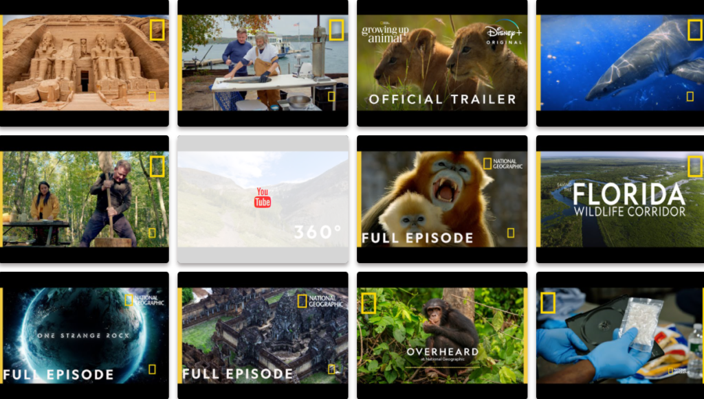 free-youtube-gallery