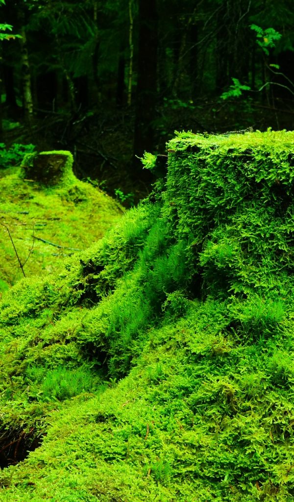masonry 7 image 16